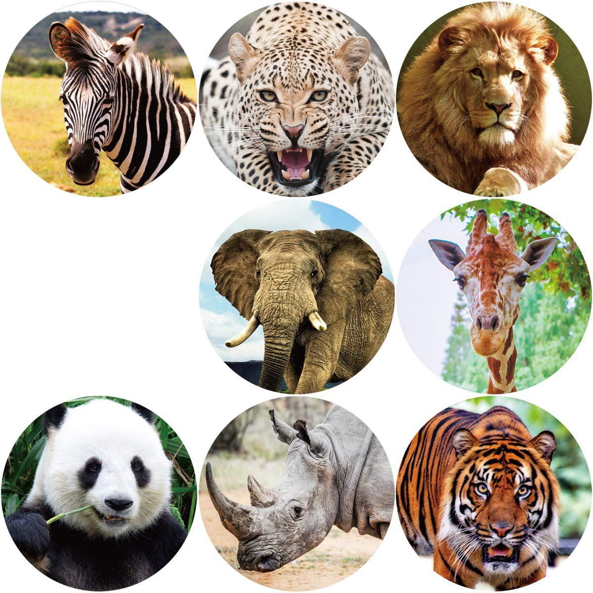 71iSYzyeLHL._AC_SL1200_