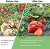 Soportes para Fresas Estanterías para Plantas de Jardín para un Crecimiento Saludable