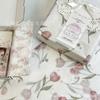 Primavera Romántica Sydney Papel Ins Viento Tulipán Rosa Tarjeta Papel de Regalo Decoración Sorpresa Festiva