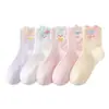 Calcetines para Niñas Primavera y Verano Clase A Calcetines de Dibujos Animados para Niñas, Malla Transpirable Sin Costuras para Bebé Calcetines Finos de Media Caña para Primavera y Otoño para Niñas