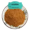 Extracto de Osmanthus, Soluble en Agua, Polvo de Osmanthus, Flavonoides Totales de Osmanthus 20%, Hiperósido, Ruilin Xian