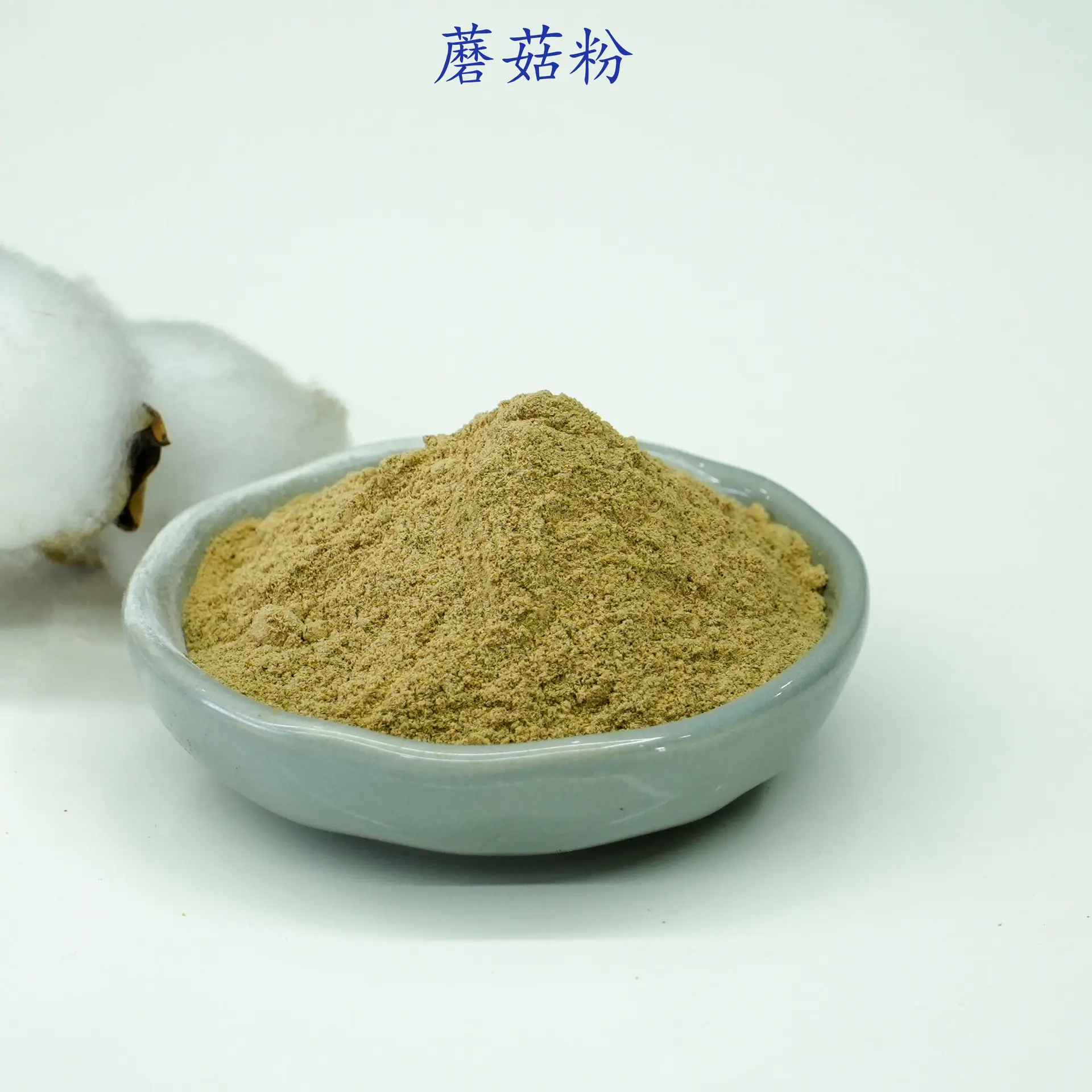 蘑菇粉2.jpg