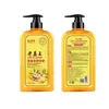 Oferta especial champú de jengibre Wang champú de jengibre refrescante suave nutritivo champú fábrica mayoreo transfronterizo champú explosivo