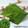 Grama de Musgo Biónica Artificial Musgo Falso Micro Paisagismo Decoração Gramado Bonsai Plantado em Vaso Pavimentação Paisagismo
