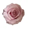 Cabezas de Flores de Rosa de Terciopelo de 10 cm con Tacto Realista, Flores Artificiales para Decoración de Bodas, Decoración del Hogar, Flores Artificiales, Flores Artificiales al por Mayor
