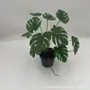 Nova Planta Transfronteiriça Folha de Caladium Mini Anjinho Parede Verde Paisagismo Folha Decorativa Material Display de Restaurante Plantas Verdes
