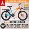 Bicicleta Infantil Phoenix para Niñas de 6-12-15 Años, Adolescentes, Niños Mayores, Bicicleta de Montaña con Cambios para Estudiantes