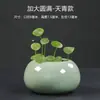 Maceta Pequeña Hidropónica de Cerámica con Esmalte Craquelado, Maceta para Flor de Centella Asiática, Contenedor de Estilo Fresco, Maceta de Escritorio, Venta al por Mayor de Fábrica de Alta Gama