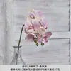 Orquídea Phalaenopsis Artificial 5 Flores Impressão 3D Mini Estilo Europeu Decoração Suave Flor de Mesa Casamento Flor de Material PU Decoração de Interior