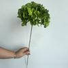 Guía de camino para el techo del salón ceremonial de bodas con hortensias de 72 piezas, arte floral, decoración suave, decoración en stock Hortensias