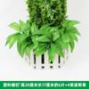 Corteza de Planta Verde Flor Falsa Bolsa Decorativa Cubierta de Ratán para Tubería de Agua Pilar de Balcón Creativo Embellecer Vid