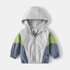 Jaqueta de Veludo Infantil 2024 Outono e Inverno Novo Estilo Coreano Moletom com Zíper Colorido para Meninos Jaqueta Espessa para Bebê Dropshipping