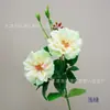 2 Rosas Lai Fei de Cabeça Única, Flores de Rosa Artificiais, Decoração de Atmosfera para Casamento ao Ar Livre, Vitrine