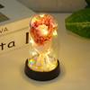 Flor Eterna LED Luminosa Decoración de Escritorio Creativa Regalo para el Festival Tanabata Decoración de Ramo de Rosas para Mesita de Noche de Dormitorio Transfronterizo