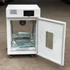 Incubadora de temperatura constante biológica de microbios de laboratorio personalizada DHP-9082CP incubadora de temperatura constante con calefacción eléctrica de pantalla táctil