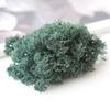 Raffer Mori Immortal Moss em estilo nórdico Immortal Flower DIY Material de paisagismo Micro Landscape Material Pack