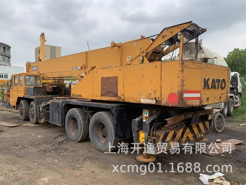 30t crane (29)