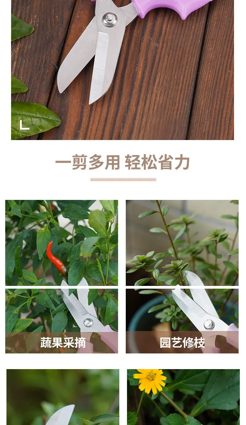 未标题-1_03.jpg