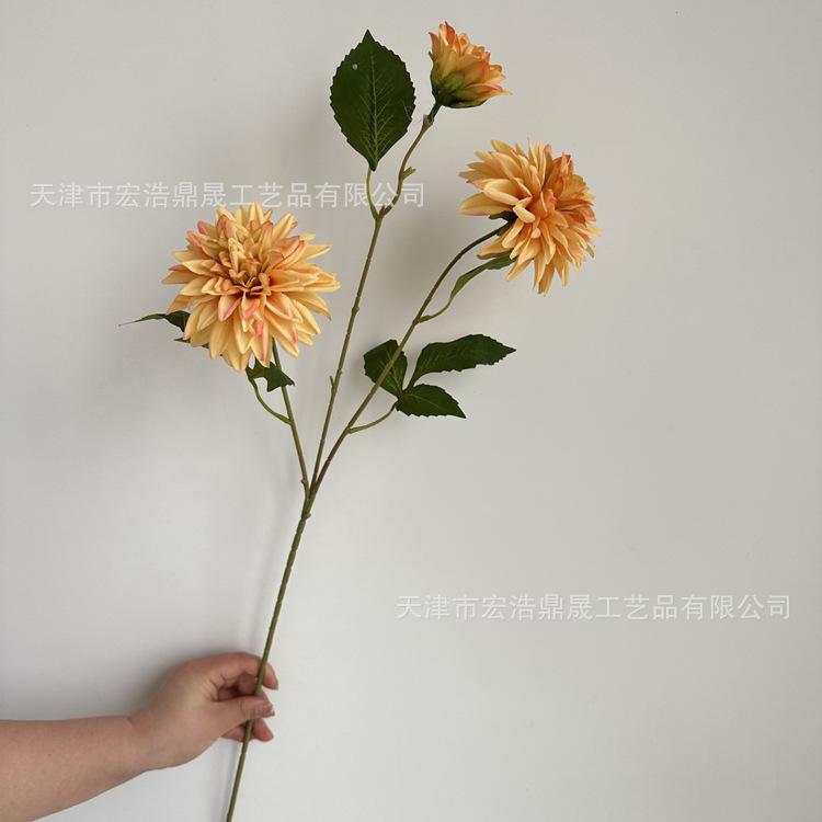 微信图片_202304201402132_副本