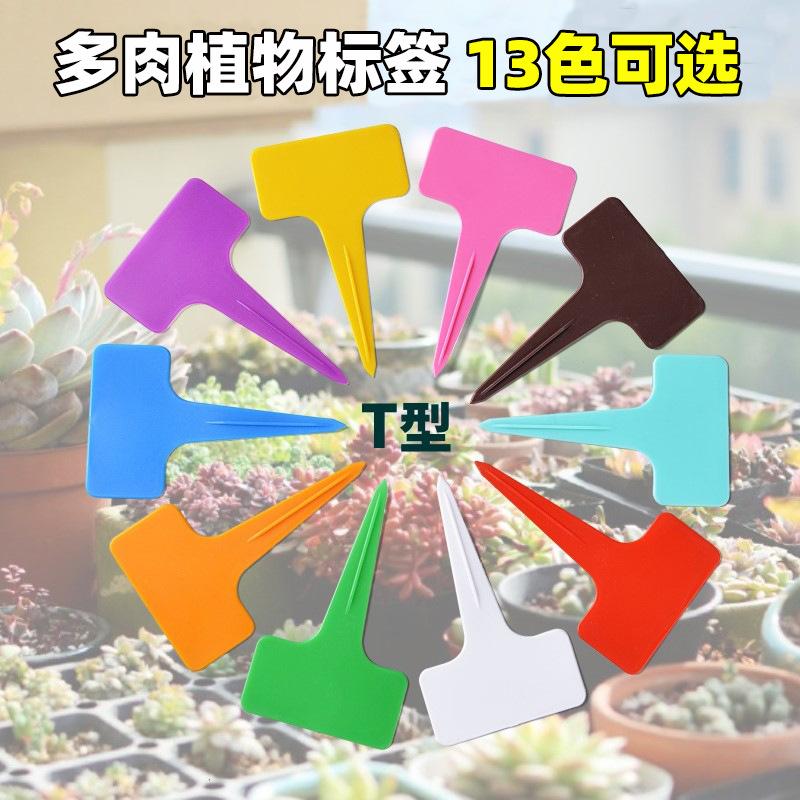 主图11