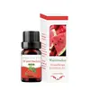 Comercio exterior transfronterizo aceite esencial de aromaterapia soluble en agua humidificador piedra expansora aceite esencial interior armario ambientador incienso fresco