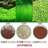 Semillas de Plantas Acuáticas de Crecimiento Rápido para Todas las Estaciones Sistema Ecológico Mini de Interior Acuario Paisajismo Semillas de Plantas Submarinas Fertilizante Base para Suelo de Plantas Acuáticas