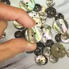 Em estoque Botão de Concha de Abalone Concha Natural Botão para Roupa Infantil Botão para Suéter de Tricô Botão de Concha de Abalone Doméstico