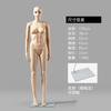 Manequim de Loja de Roupas Adereços Manequins Masculinos e Femininos Estilo Tom de Pele com Base Corpo Inteiro Manequim Humano Suporte Adereços de Exibição