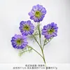 Ramo de Clemátide Artificial Estilo Europeo, Flores de Seda Artificial para Arreglos de Boda, Flores de Plástico con Acabado de Alta Gama para Decoraciones de Boda