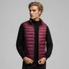 Nuevo Chaleco de Algodón sin Mangas para Hombre Transfronterizo, Estilo Coreano, Moda Juvenil, Chaleco Simple con Cuello Alto, Chaqueta de Algodón