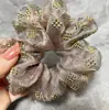 Diadema de Lujo para el Cabello, Accesorios para el Cabello Brillantes con Diamantes Calientes, Lujo Accesible, Elegante Diadema de Malla para Mujeres, Nuevo Estilo 2025