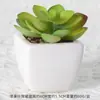 Suculentas Simuladas Personalizadas Cerámica Bonsái Plantas Verdes Escandinavas Adornos Hogar Interior Sala de Estar Flores Falsas Suculentas Plantas en Maceta