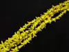 Acessórios de contas de turquesa sintética em formato de estrela Acessórios para pulseira DIY Contas de turquesa branca e azul Joias com contas atacado