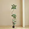 Plantas Verdes Artificiais, Árvore de Borracha Preta de Luxo de Alta Qualidade, Figueira Lira, Árvore Decorativa Artificial de Chão de Alta Qualidade para Sala de Estar Interna