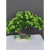 Decoração de Enfeite de Mesa Pinheiro Bem-vindo Pequeno Pinheiro Plantas Verdes Plantas Aquáticas Mini Rochedo Aquário Paisagismo Hotel