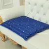 Cojín de Hielo Cojín para Asiento Colchón de Agua Cama de Agua de Verano Colchón de Hielo Colchoneta Refrescante de Hielo Colchón de Hielo Colchón de Agua Individual Dormitorio Estudiante Almohadilla de Hielo Refrigerante Colchón de Hielo Colchón de Agua
