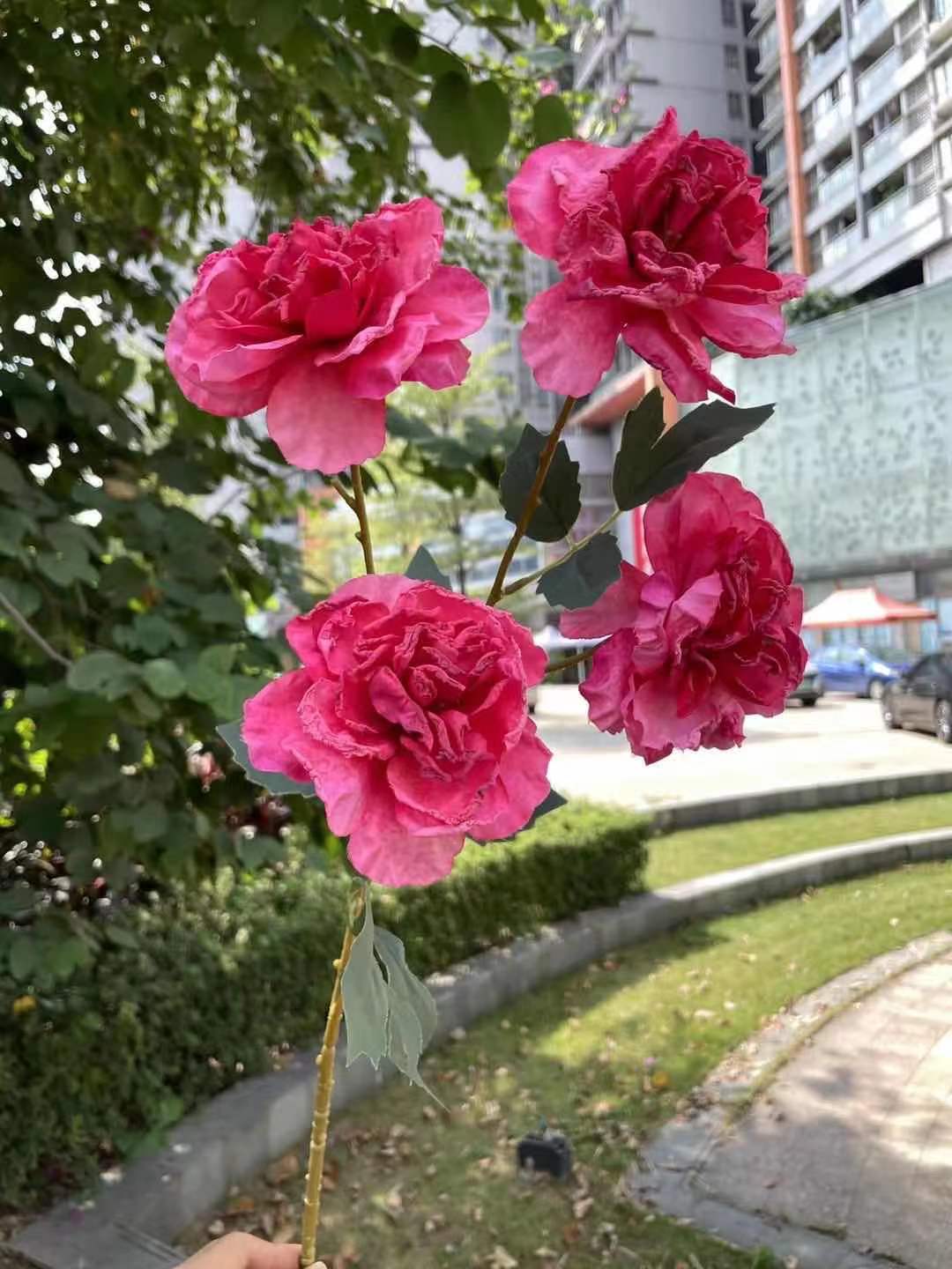 微信图片_20220318142631