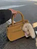 Bolsas Coreanas de Nicho, Bolsas Transversais, Bolsas Femininas, Bolsas de Ombro Versáteis de Luxo, Bolsas de Axila Casuais para o Dia a Dia, Bolsas de Mão