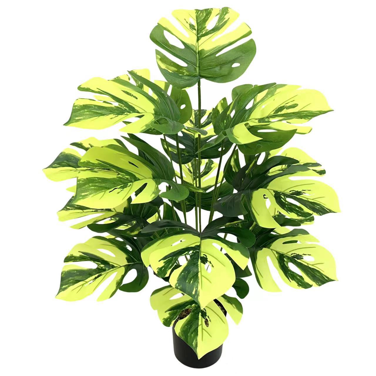 微信图片_20240508002245