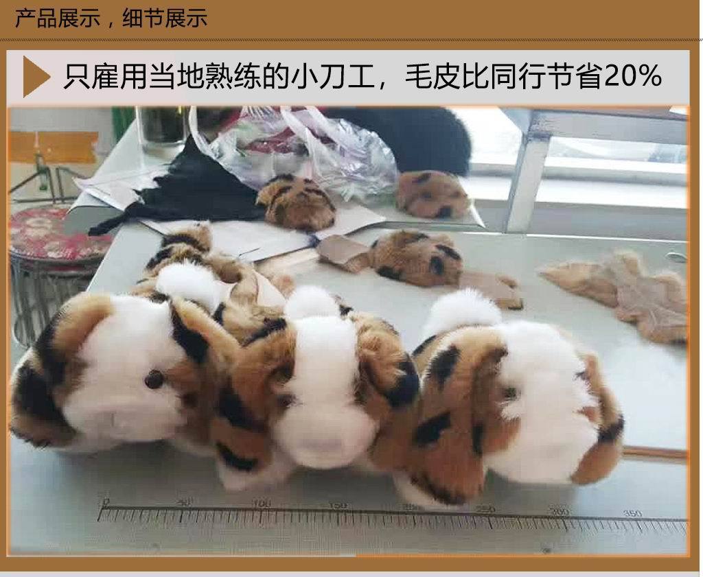 獭兔细节-P04-04.jpg