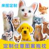 Almofadas Personalizadas com Fotos, Almofadas Especiais DIY, Presentes para Pets, Retratos de Bonecas, Fotos, Presentes Personalizados para Gatos, Zombaria