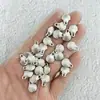 Pingente de Concha de Liga DIY Estilo Oceano Charme de Concha Brinco Colar Pulseira Artesanais Acessórios de Joia Venda por Atacado