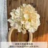 Flores Artificiales Color Champagne para Arreglos de Arco de Boda, Flores Falsas para Decoraciones de Boda, Decoración del Hogar y Adornos de Paisajismo