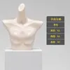 Loja de Lingerie Modelo Roupas Femininas Adereços Loja de Roupas Sutiã Push-Up Meio Comprimento Roupas Íntimas Femininas Modelo Suporte de Exibição de Corpo Humano Falso Meio Comprimento