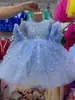 Novo vestido de festa de aniversário com miçangas da Amazon para crianças, saia tutu de tule brilhante para bebês e crianças pequenas, atacado de fábrica