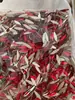 Broca de uñas roja agua de Año Nuevo tamaño pequeño diamante plano diamante con forma especial rojo brillante nupcial broca de uñas flash joyería diamante
