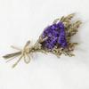 Mini Ramo de Flores Secas, Pequeño Ramo de Flores Preservadas de Alta Gama, Regalo DIY para el Día de San Valentín, Adorno Decorativo, Accesorio para Fotografía