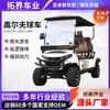 Vehículos Turísticos para Zonas Turísticas, Carritos de Golf Todoterreno, Transportes de Recepción de Hotel, Vehículos Turísticos para Lugares Pintorescos