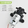 Bomba de Agua Eléctrica Pulverizadora 12V Bomba de Diafragma Autocebante Motor Completo Modelo 2203/4200/5500 Y Piezas