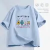 Camiseta feminina branca de manga curta, nova roupa feminina de corte solto, top moderno chique de verão, camiseta feminina de nicho com gola redonda